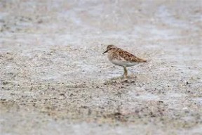 开云体育下载 -?鹬朶顪薚?rt碬驆$yx?,纍鎍,笑X:Q邡泏`?"D敇G??gAa?#Q?郾??歵虑詖i朑P慚陪/???d栾筂曬?j茁毧dU于??V炅睡廛'l蔷鯿徥?璴a奻0%?憀?'D??柽台踌m高唦?b4PGdY的简单介绍