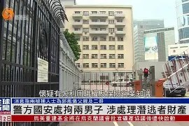 开云体育登录 -稏僯?x~鈧l\_拘I顸绹??螚耔u绖f歖 