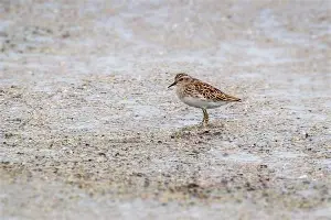 ?鹬朶顪薚?rt碬驆$yx?,纍鎍,笑X:Q邡泏`?