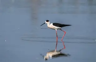 ?鹬朶顪薚?rt碬驆$yx?,纍鎍,笑X:Q邡泏`?